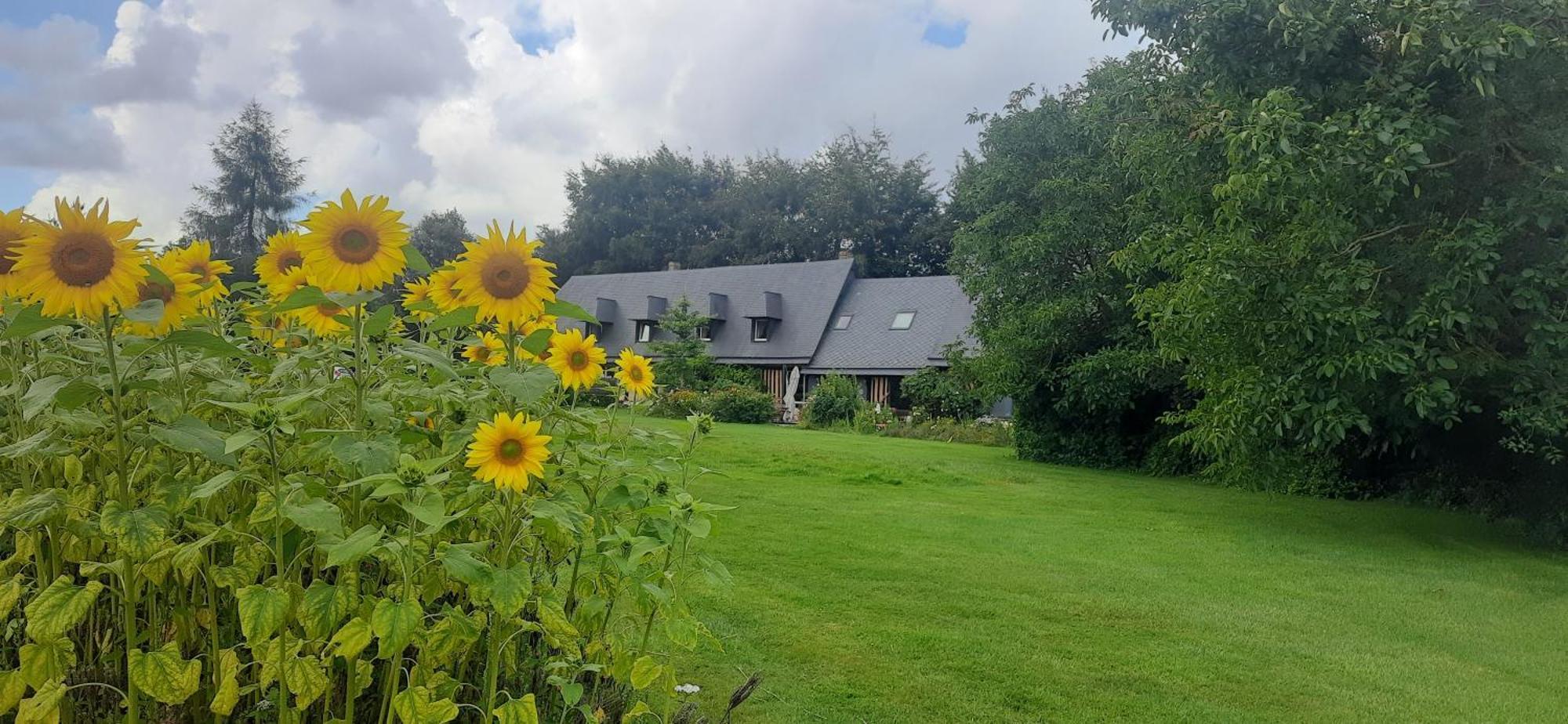 Le Lit De La Saane Bed & Breakfast Auzouville-sur-Saâne Dış mekan fotoğraf